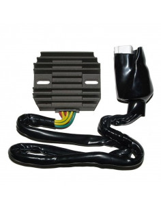 Régulateur ELECTROSPORT 2