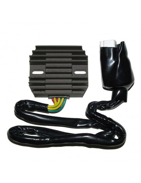 Régulateur ELECTROSPORT