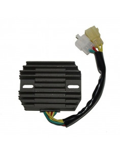 Régulateur ELECTROSPORT