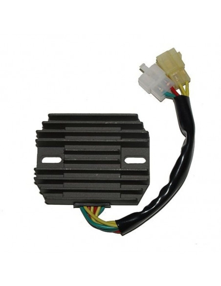 Régulateur ELECTROSPORT