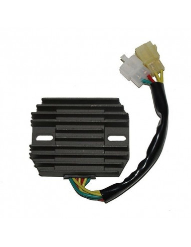 Régulateur ELECTROSPORT