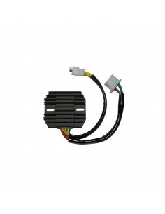 Régulateur ELECTROSPORT