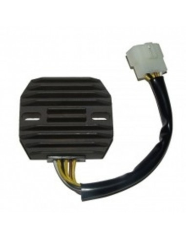 Régulateur ELECTROSPORT