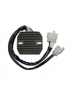 Régulateur ELECTROSPORT 2