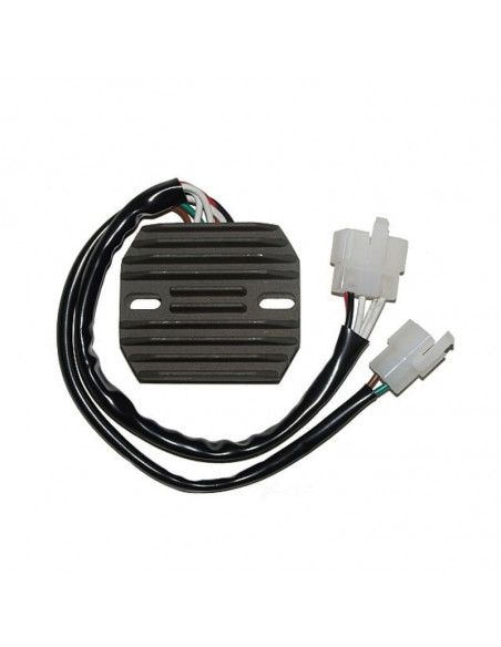 Régulateur ELECTROSPORT