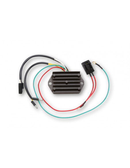 Régulateur ELECTROSPORT