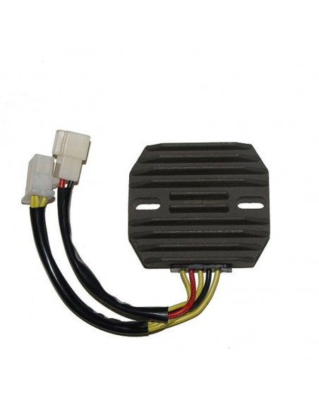 Régulateur ELECTROSPORT