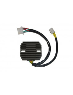 Régulateur ELECTROSPORT