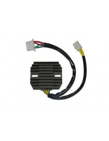 Régulateur ELECTROSPORT