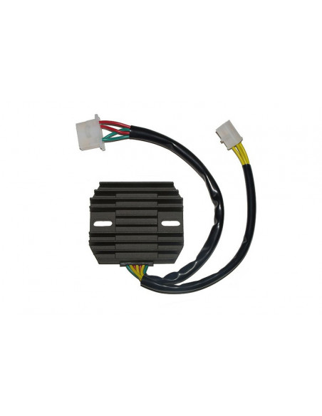Régulateur ELECTROSPORT