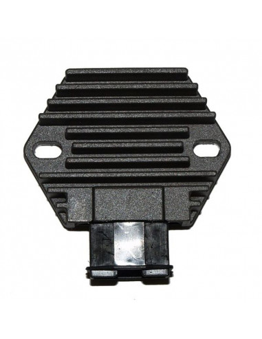 Régulateur ELECTROSPORT