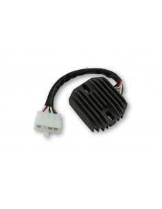 Régulateur ELECTROSPORT