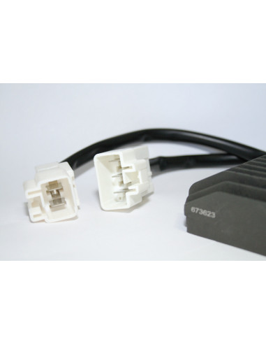 Régulateur ELECTROSPORT