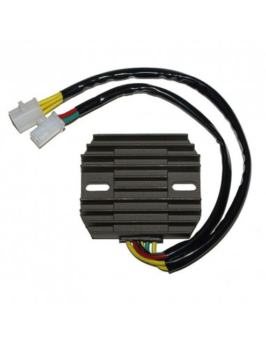 Régulateur ELECTROSPORT