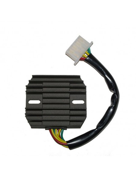 Régulateur ELECTROSPORT