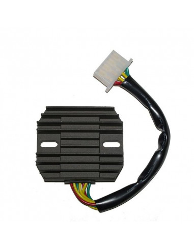 Régulateur ELECTROSPORT