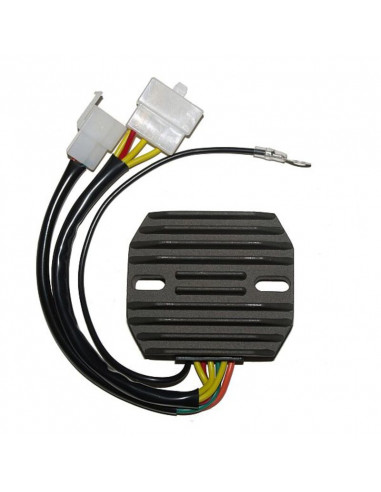 Régulateur ELECTROSPORT