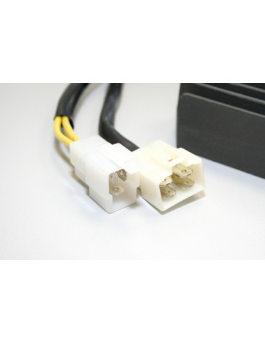 Régulateur ELECTROSPORT