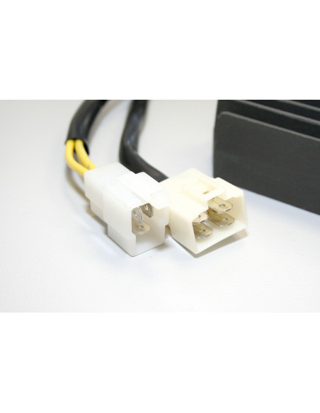 Régulateur ELECTROSPORT