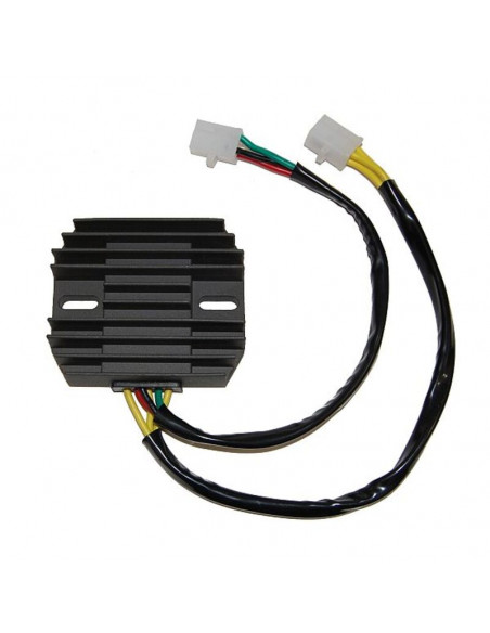 Régulateur ELECTROSPORT