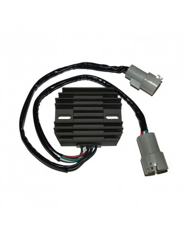 Régulateur ELECTROSPORT