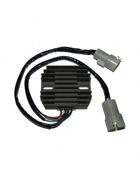 Régulateur ELECTROSPORT