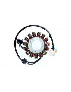 Stator ELECTROSPORT 2