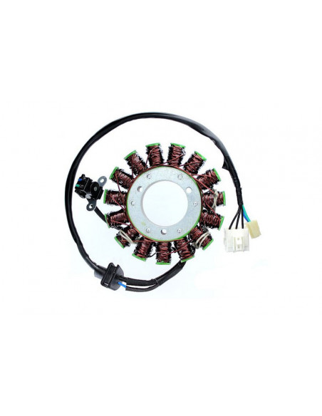 Stator ELECTROSPORT
