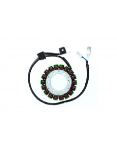 Stator ELECTROSPORT 2
