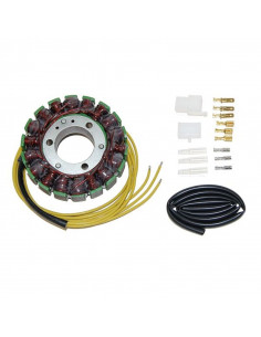 Stator ELECTROSPORT 2