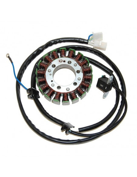 Stator ELECTROSPORT