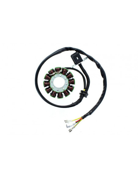 Stator ELECTROSPORT