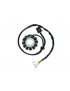 Stator ELECTROSPORT 2