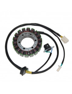 Stator ELECTROSPORT 2