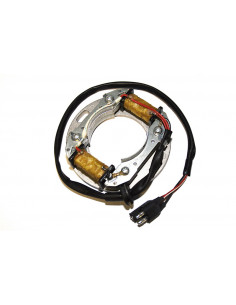 Stator ELECTROSPORT