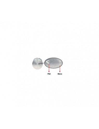 Piston MALOSSI ø40mm pour 2T - avec axes et segments