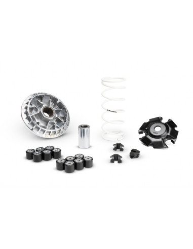 Variateur MALOSSI Multivar 2000