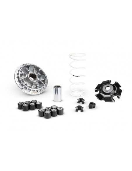 Variateur MALOSSI Multivar 2000