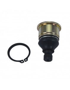 Kit reconditionnement rotule de triangle inférieur ALL BALLS 2