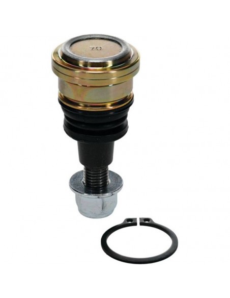 Kit reconditionnement rotule de triangle inférieur ALL BALLS