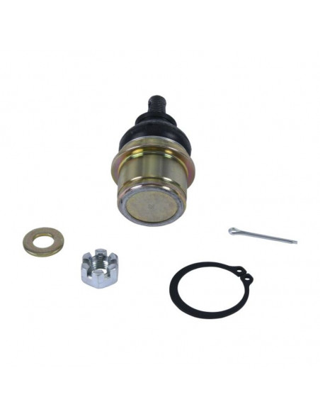 Kit reconditionnement rotule de triangle inférieur ALL BALLS