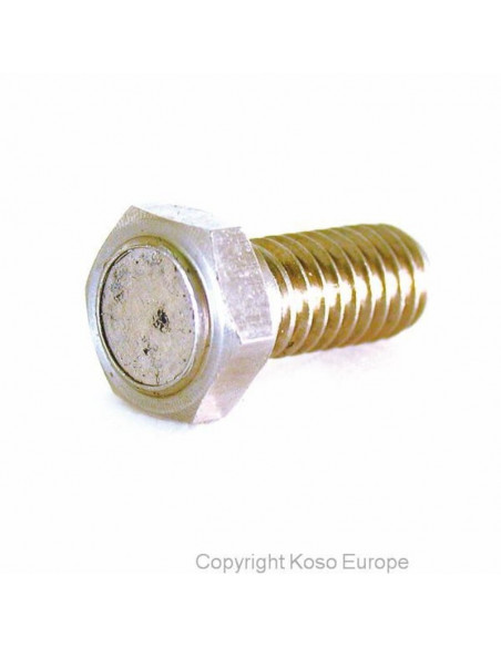 KOSO Magnet screw for brake disk (M8 x P1.25 x 29L)