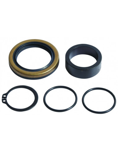 Kit reconditionnement d'arbre de sortie de boîte ALL BALLS