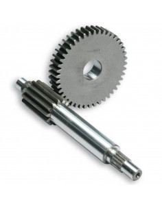 Engrenages primaires MALOSSI HTQ Z - 13/44 2