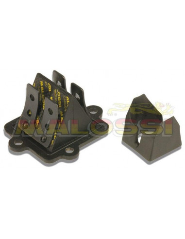 Boite à clapets MALOSSI VL12