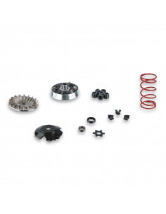 Variateur MALOSSI Multivar - Yamaha-MINARELLI 2