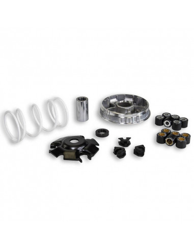 Malossi Multivar 2000 Piaggio 125/150 5111258