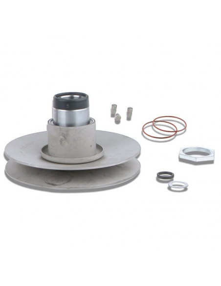 Sistema de polea trasera Malossi Ø128