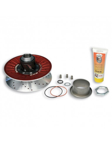 Sistema polea trasera Malossi MHR aluminio