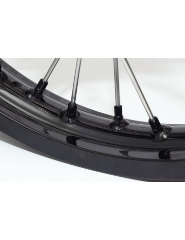Roue arrière complète HAAN WHEELS 17x4,50x36T